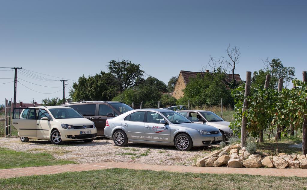 Edenkert Vendeghazak Hotel Pecsvarad Bagian luar foto